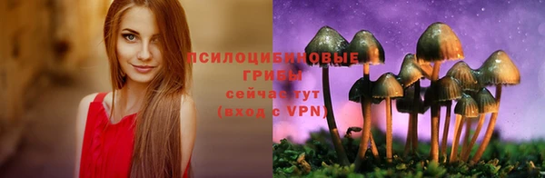 Альфа ПВП Пролетарск