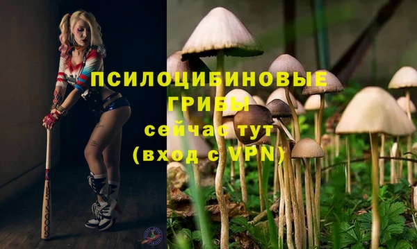 трава Алексин