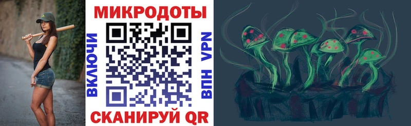 Галлюциногенные грибы ЛСД  мега зеркало  Кашин  купить  